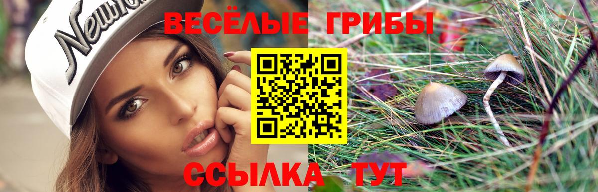 Галлюциногенные грибы мицелий Ульяновск