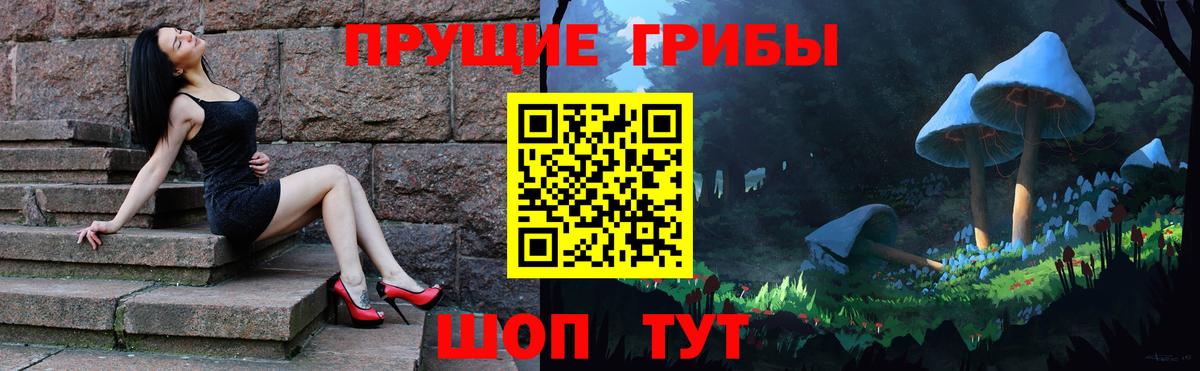 купить   Вход с VPN  Ульяновск  Галлюциногенные грибы Psilocybe 